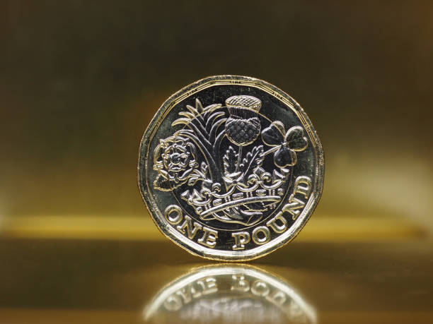 istock 1 pound coin, United Kingdom over gold 836422722