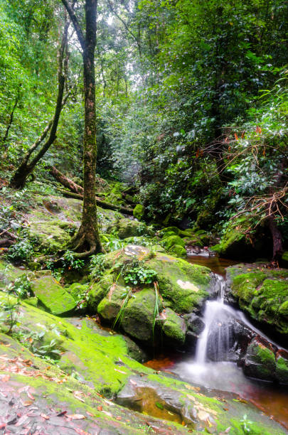 istock Waterfall at Phu Soi Dao National Park,Phitsanulok, Thailand 836422884