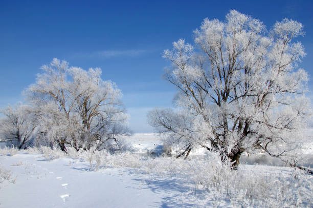istock winter, winter-tide, winter-time 836422990