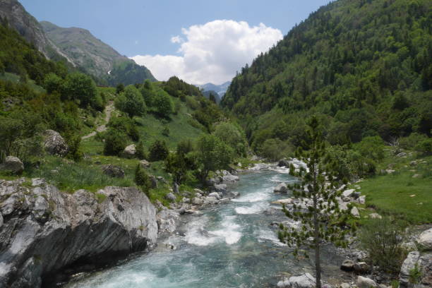 istock Creek in the Ordesa National Park 836429820