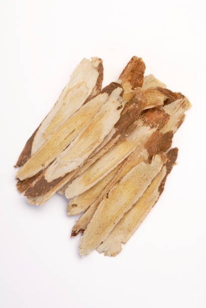 korzenia astragalus - astragalus root zdjęcia i obrazy z banku zdjęć