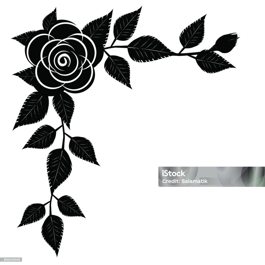 Bóng Hoa Hồng Đen Trên Nền Trắng Vectơ Hình minh họa Sẵn có - Tải ...