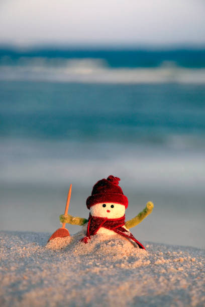 istock Toy of the snowman on beach background 836433984