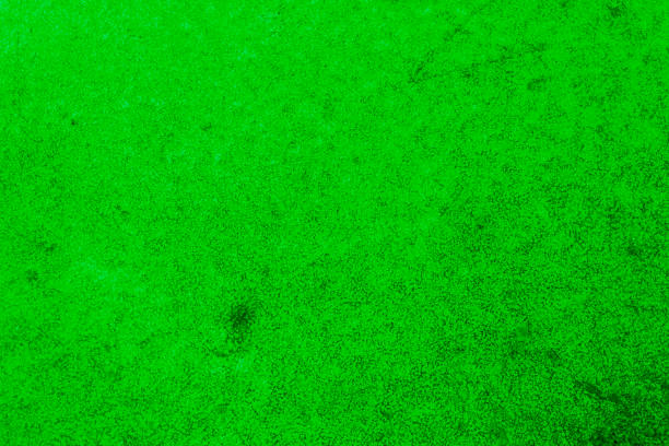 istock Emerald green color texture pattern abstract background can be use as wall paper screen saver brochure cover page or for presentations background or articles background also have copy space for text. 836437584