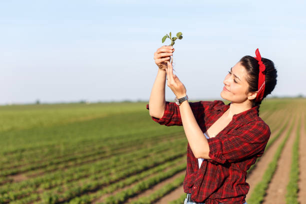 istock Female farmer standing in a field and examining crop. 836437836