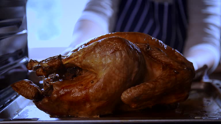 Turkey Roasting in the Oven - 4k Video