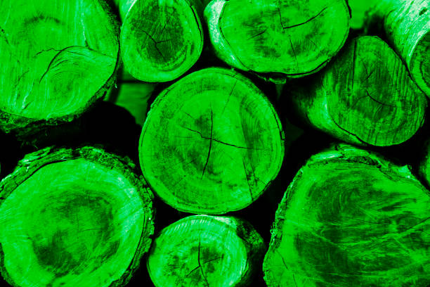 Emerald green color texture pattern abstract background can be use as wall paper screen saver brochure cover page or for presentations background or articles background also have copy space for text.