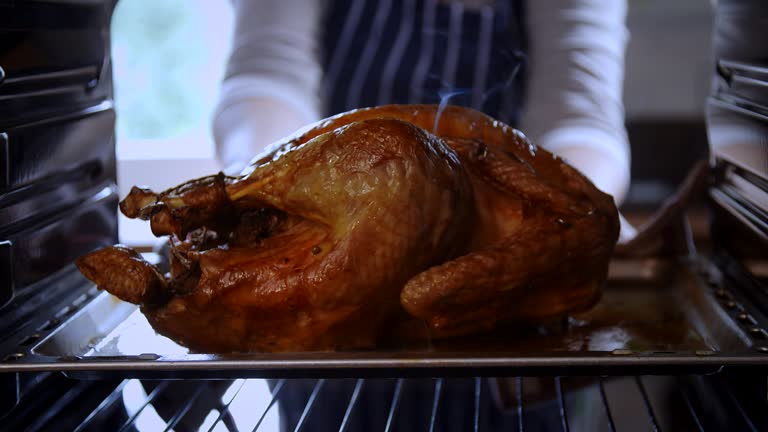 Turkey Roasting in the Oven - 4k Video