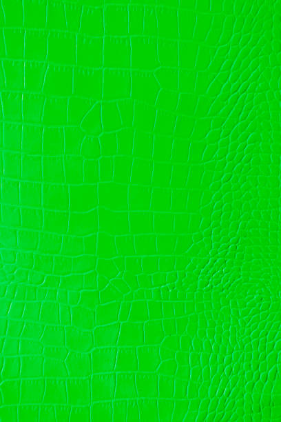istock Emerald green color texture pattern abstract background can be use as wall paper screen saver brochure cover page or for presentations background or articles background also have copy space for text. 836442380