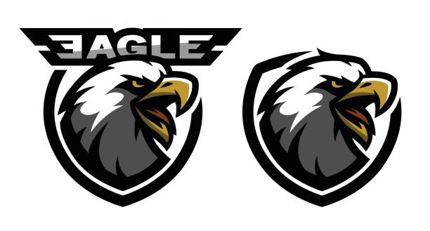 Head of the eagle, sport icon. Two versions. Head of the eagle, sport icon. Two versions. Vector illustration falcon bird stock illustrations
