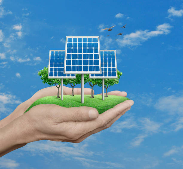 istock Solar cell with trees and grass in man hands over blue sky, white clouds and birds, Ecological concept 836446708