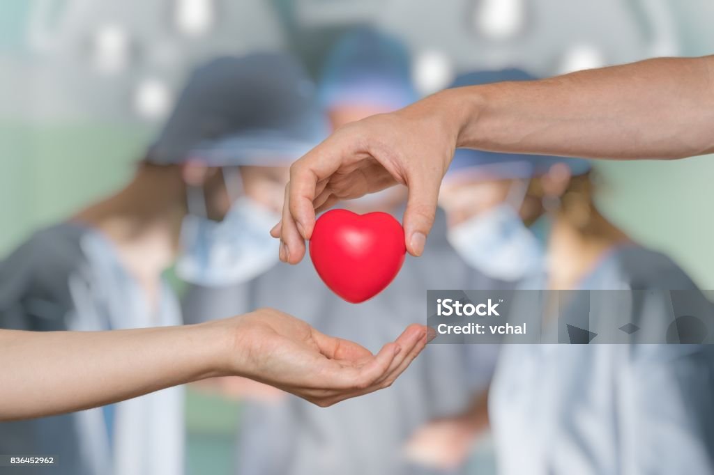 Heart transplant and organ donation concept. Hand is giving red heart. Organ Donation Stock Photo