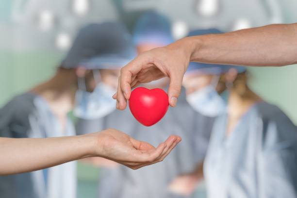 Heart transplant and organ donation concept. Hand is giving red heart. stock photo