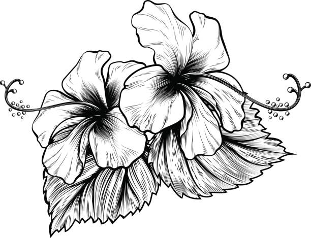 ハイビスカスの花ビンテージ スタイル木版彫刻エッチング - hawaiian culture hibiscus flower pattern点のイラスト素材／クリップアート素材／マンガ素材／アイコン素材