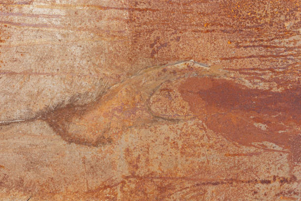 istock Grungy Rusted Steel 836462498