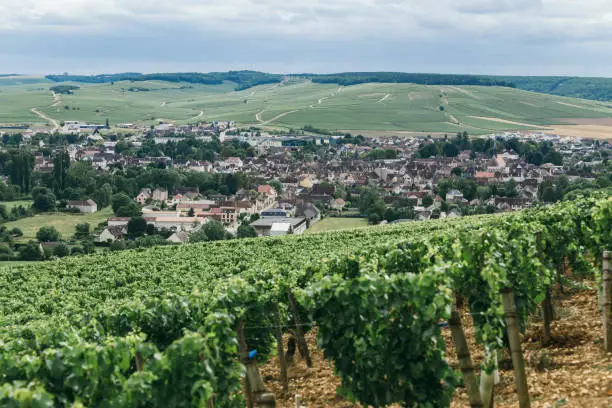view of the town of Chablis, wine-growing region in central France (Northern Burgundy)