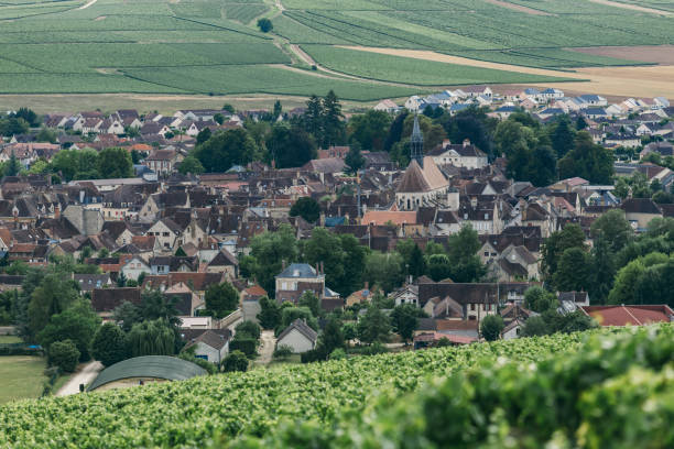 istock Northern Burgundy 836462574