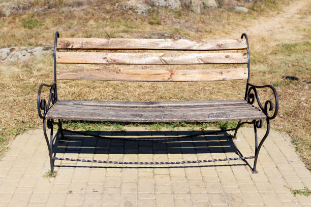 istock wooden bench in the park 836465490