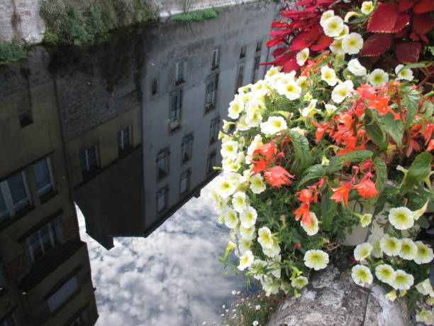 Reflections of houses and sky on a river  Flower Suspension  Quimperlé Brittany Finistère