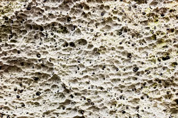 A natural background of textured, porous rock with many tiny holes.