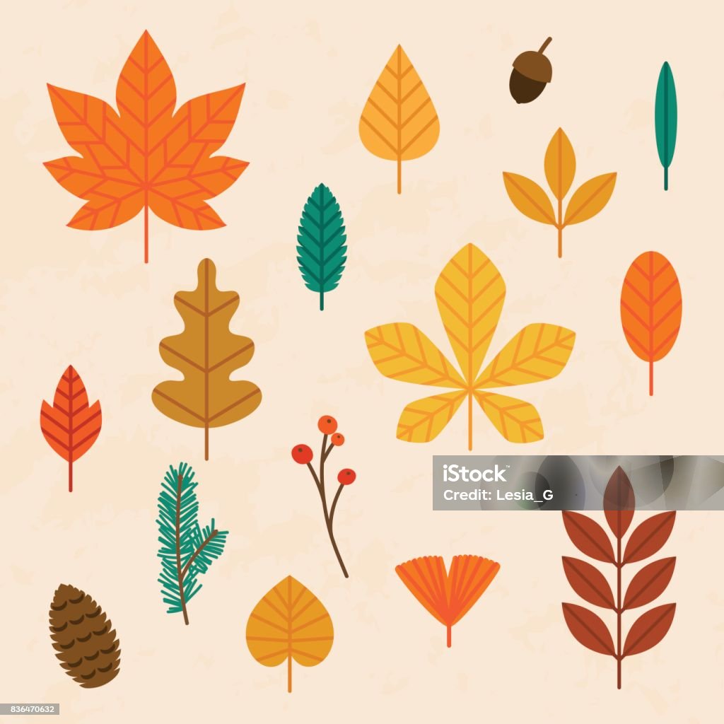 Autumn leaves set. Flat design modern vector illustration concept. Autumn stock vector