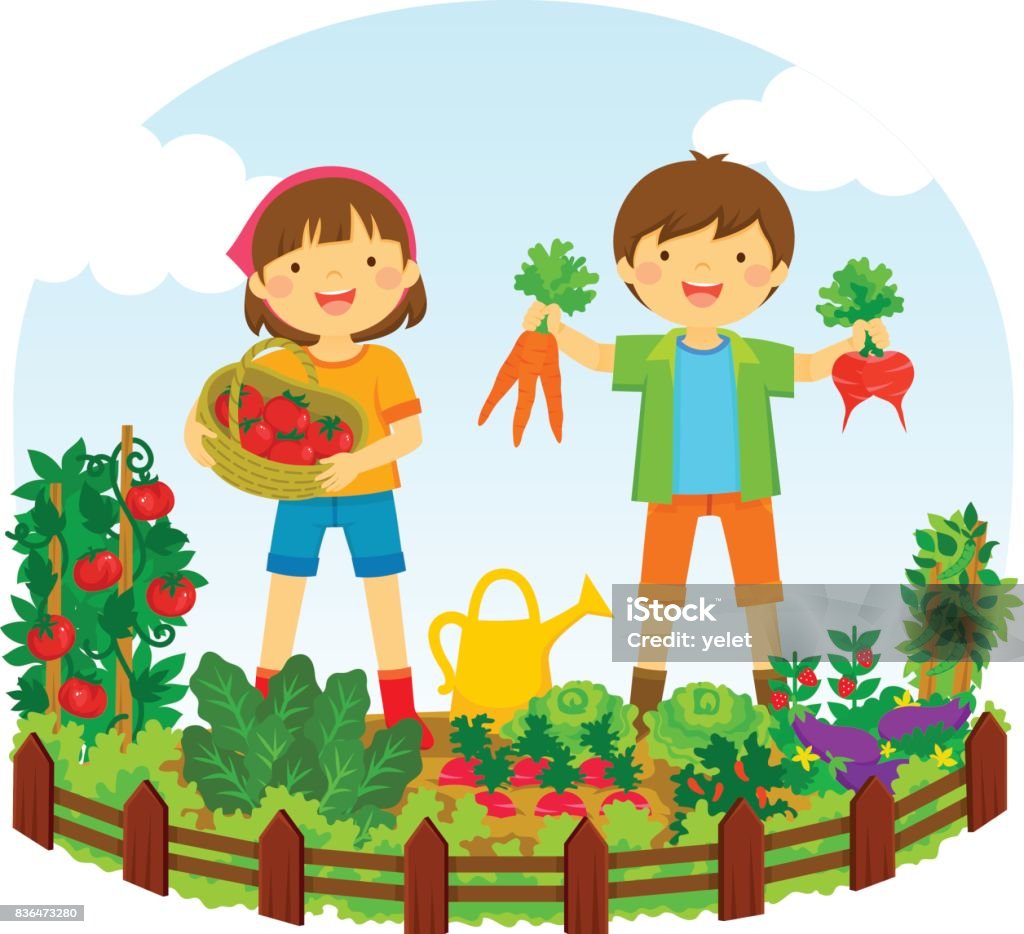 Kids In A Vegetable Garden Stock Illustration - Download Image Now ...