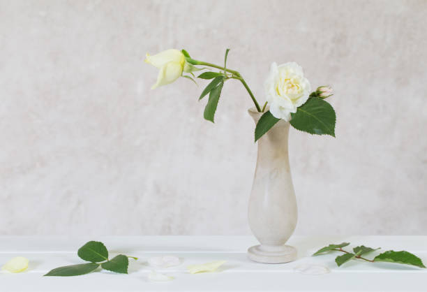 istock roses in vase on old white background 836473742