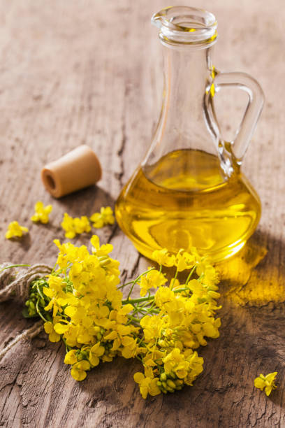 istock rapeseed oil (canola) and rape flowers on wooden table 836473952