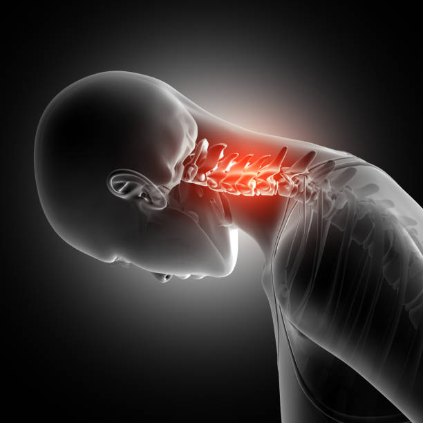 istock 3D female figure with neck bones highlighted 836477124