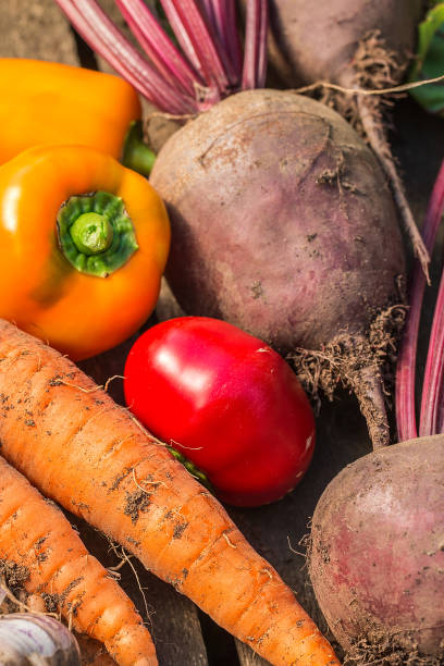 istock Assortment of fresh vegetables close up 836481464