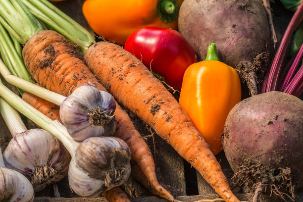istock Assortment of fresh vegetables close up. 836481468