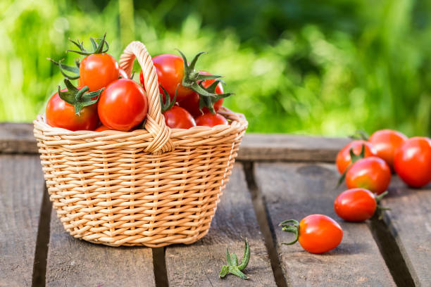 istock Red tomatoes in wicker basket on  wooden table 836481486