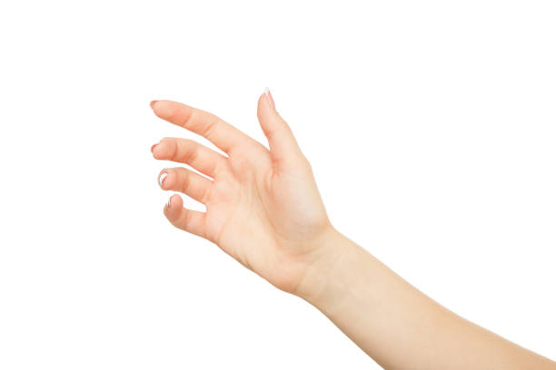 Woman's hand holding card, phone or other, crop, cutout