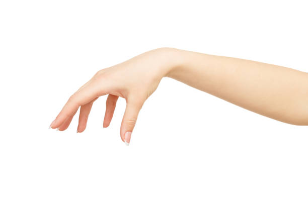 istock Woman's hand picking up something, crop, cutout 836486318