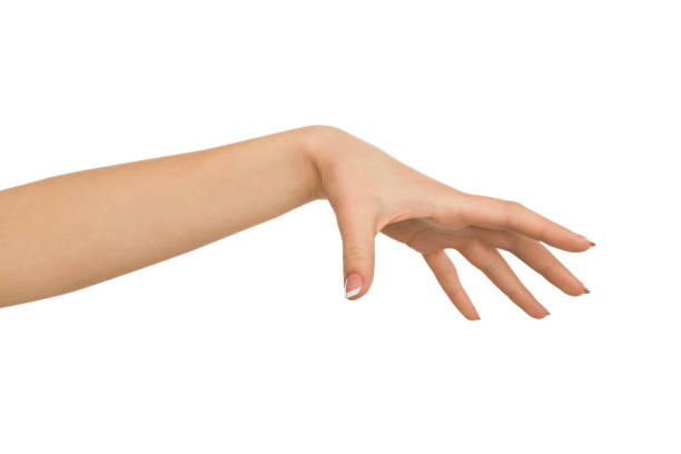 istock Female hand picking up something, cutout 836486356
