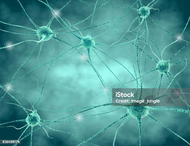 Photo libre de droit de Système Nerveux Humain Cellules Nerveuses Avec Illustration 3d De Synapses Et Neurotransmetteurs banque d'images et plus d'images libres de droit de Racine nerveuse