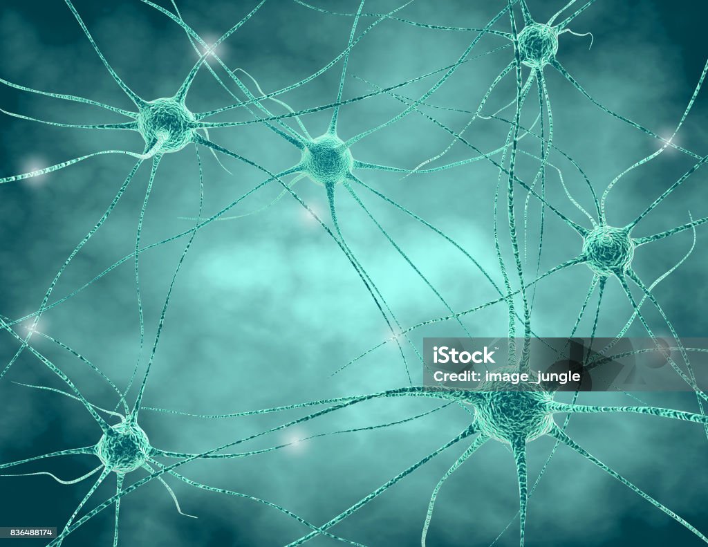 Human nervous system . Nerve cells with synapses and neurotransmitters 3D illustration. Human nervous system with nerve cells 3D illustration. Nerve Root Stock Photo