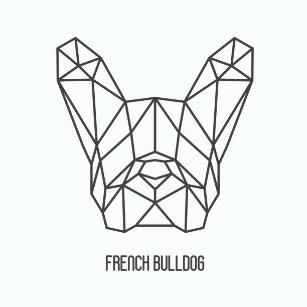 フレンチ ブルドッグ、2018 年のシンボルの多角形の頭。犬のシルエットのベクター イラストです。 - フレンチブルドッグ点のイラスト素材／クリップアート素材／マンガ素材／アイコン素材