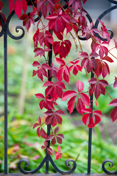 istock Autumn in the city 836498860