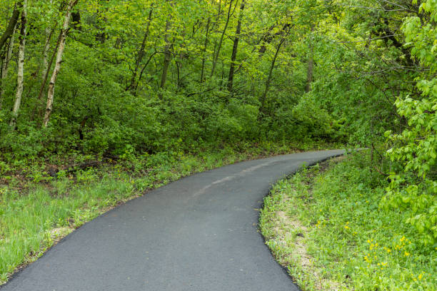 istock Bike Trail In The Woods 836502206