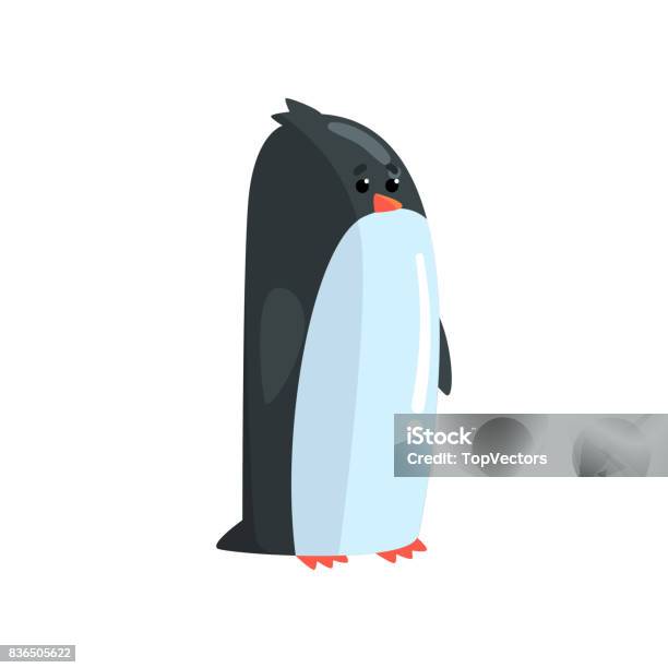 Cute Little Funny Penguin Chick Standing Character Vector Illustration Stock Illustration - Download Image Now