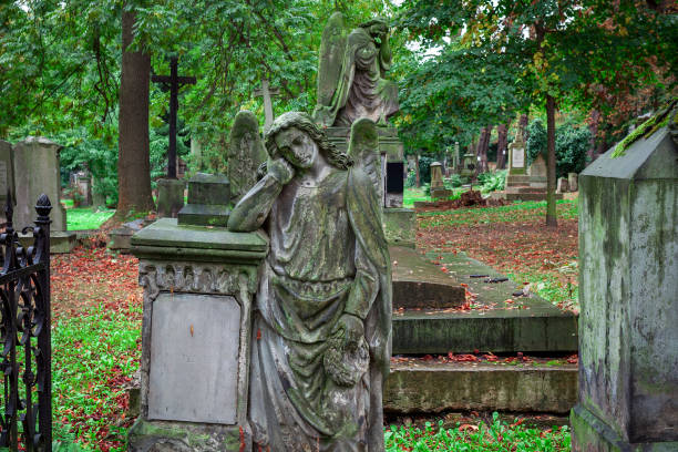istock Antique statues on old cemetery in Prague. 836506606