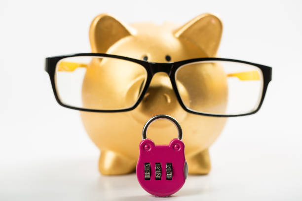 заблокировать свои деньги - piggy bank savings internet finance стоковые фото и изображения