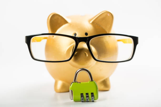 당신의 돈의 잠금 - piggy bank savings internet finance 뉴스 사진 이미지