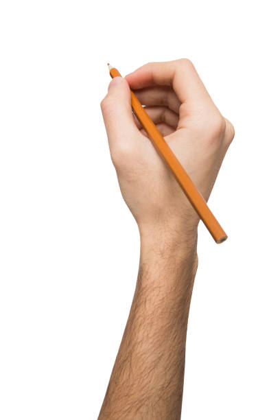 istock Male hand holding black pencil isolated on white 836514444