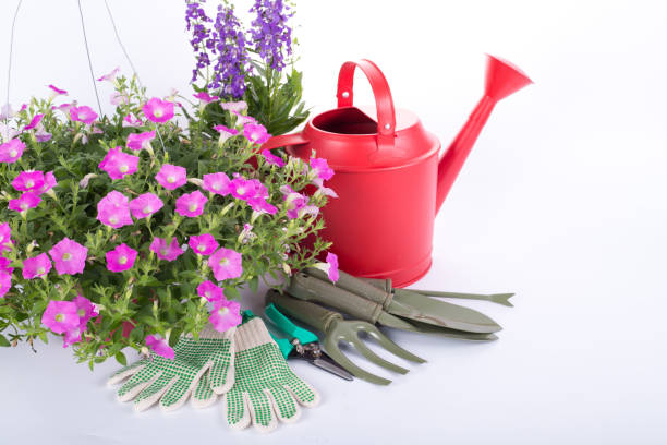 istock Garden tools equipment for essentials gardener use. 836522782