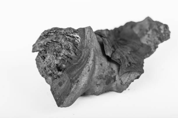 istock Traditional charcoal wood 836522952