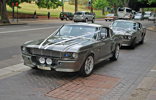 Sydney, Australia - November 02, 2015: Classic car models of Shelby 1967 Mustang GT500 are parked on a street as a part of wedding cortege
