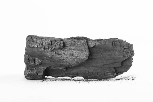 istock Traditional charcoal wood 836524162