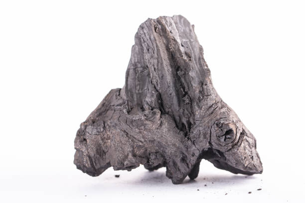 istock Traditional charcoal wood 836524318